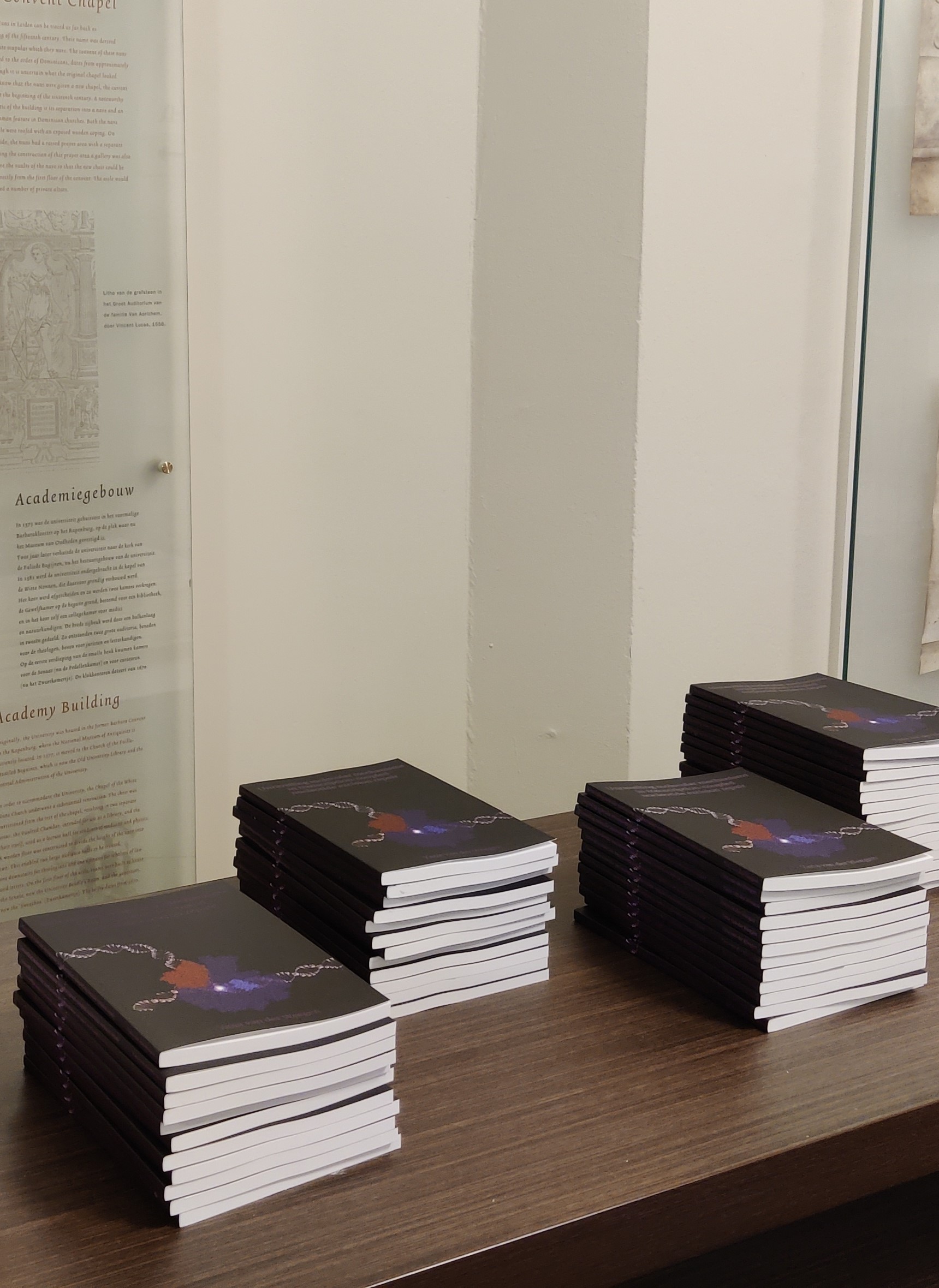 Afbeelding van een stapel proefschriften