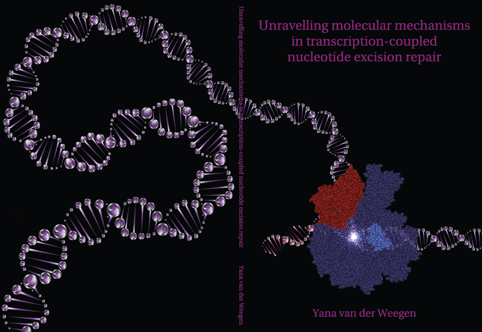 Afbeelding van een ontworpen proefschrift met omschrijving unravelling molecular mechanisms in transcription-coupled nucleotide excision repair