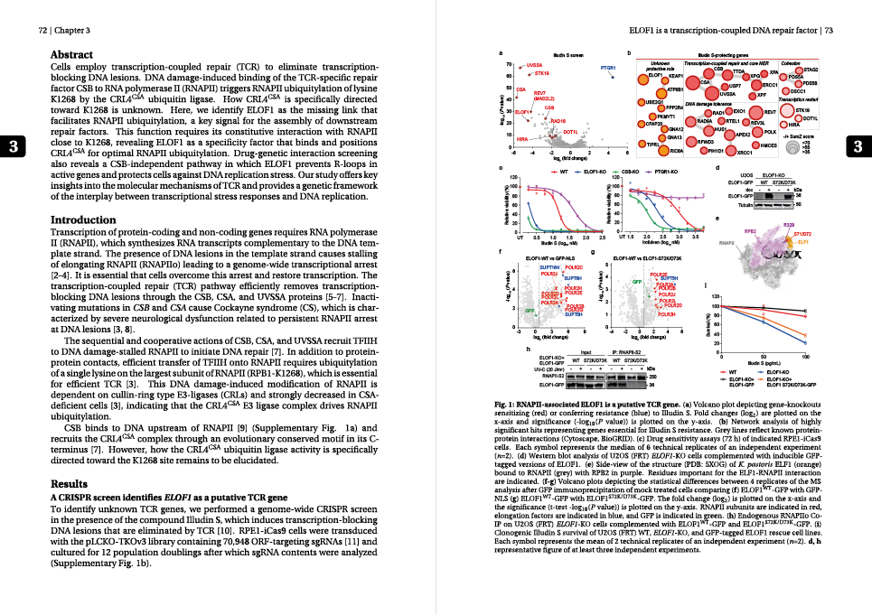 Afbeelding van een ontworpen proefschrift met omschrijving unravelling molecular mechanisms in transcription-coupled nucleotide excision repair