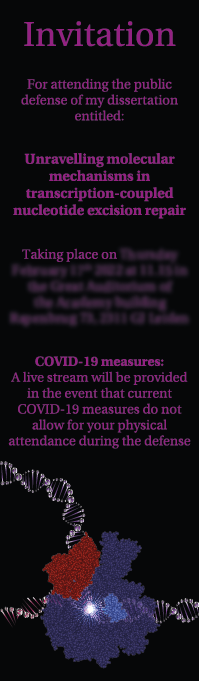Afbeelding van een ontworpen proefschrift met omschrijving unravelling molecular mechanisms in transcription-coupled nucleotide excision repair