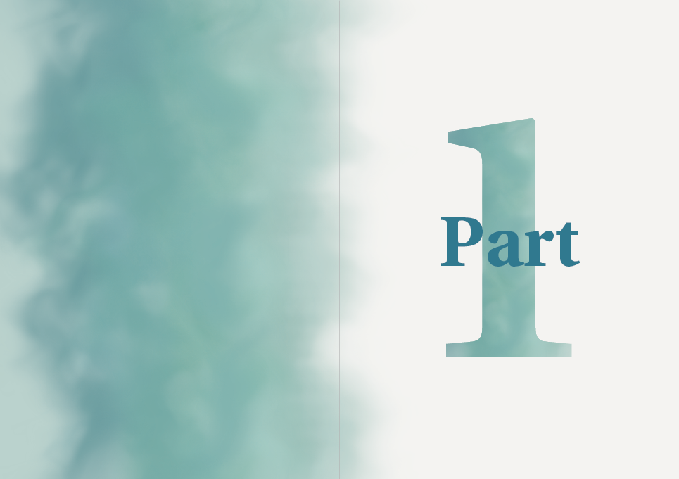 Afbeelding van een ontworpen proefschrift met omschrijving identification and analysis of genes contributing to tuberculosis susceptibility
